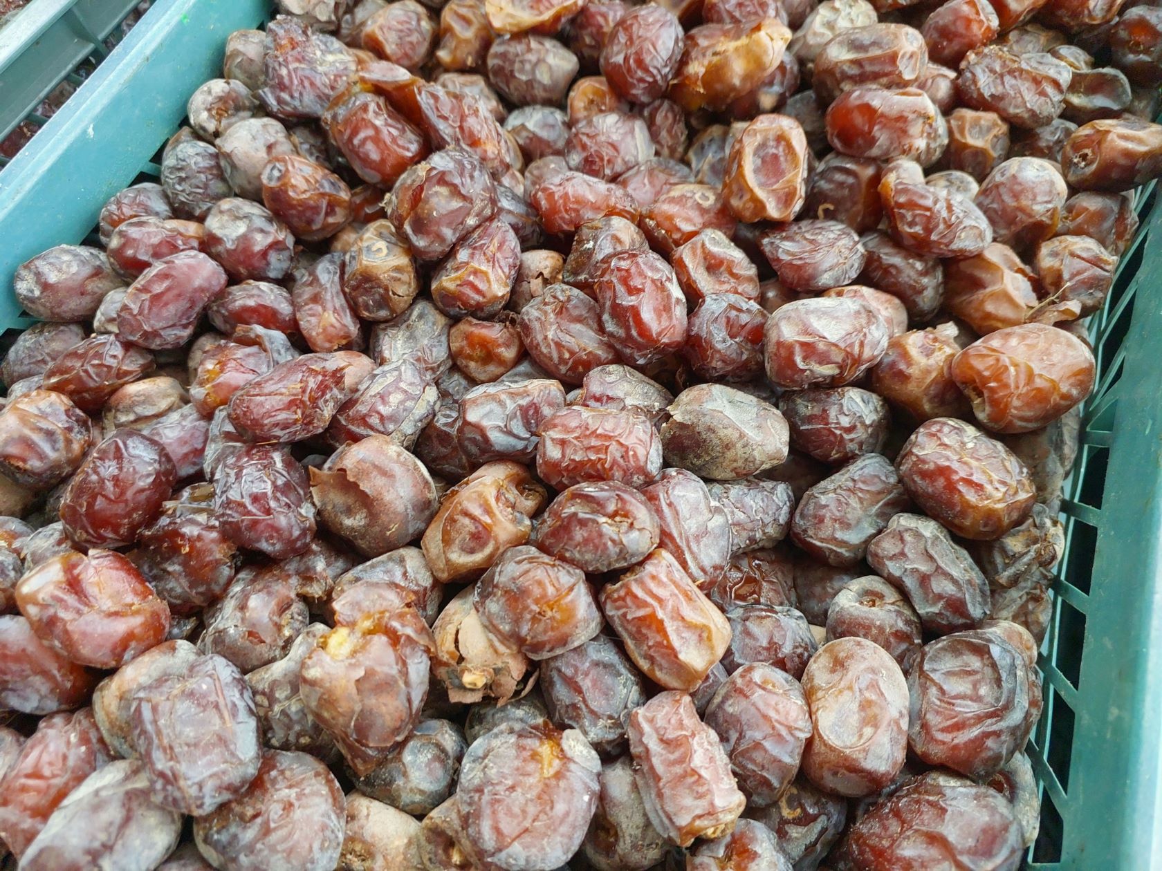 صادرات محصولات کشاورزی و باغداری